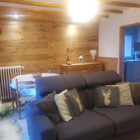 Appartement 4 Personnes Tout Equipe Vosges. Rochesson 외부 사진