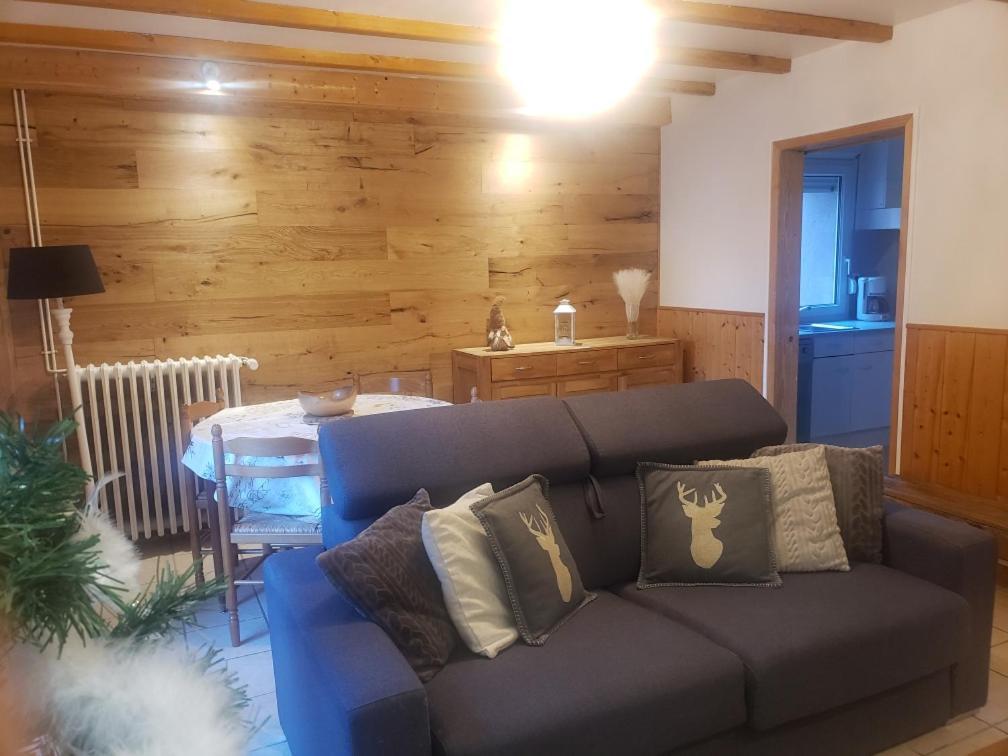 Appartement 4 Personnes Tout Equipe Vosges. Rochesson 외부 사진